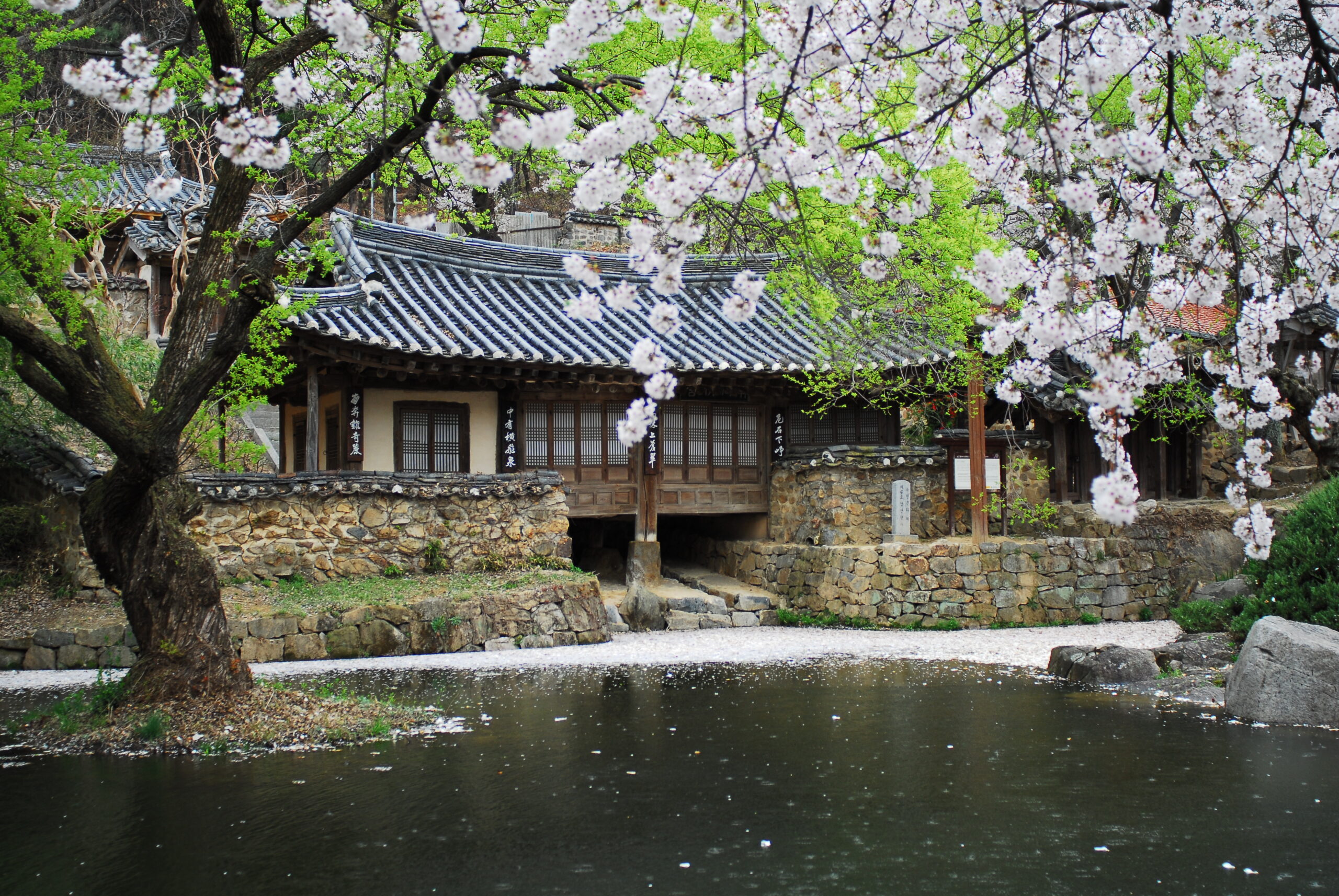 Perfect Half-Day Course Guide in Daejeon